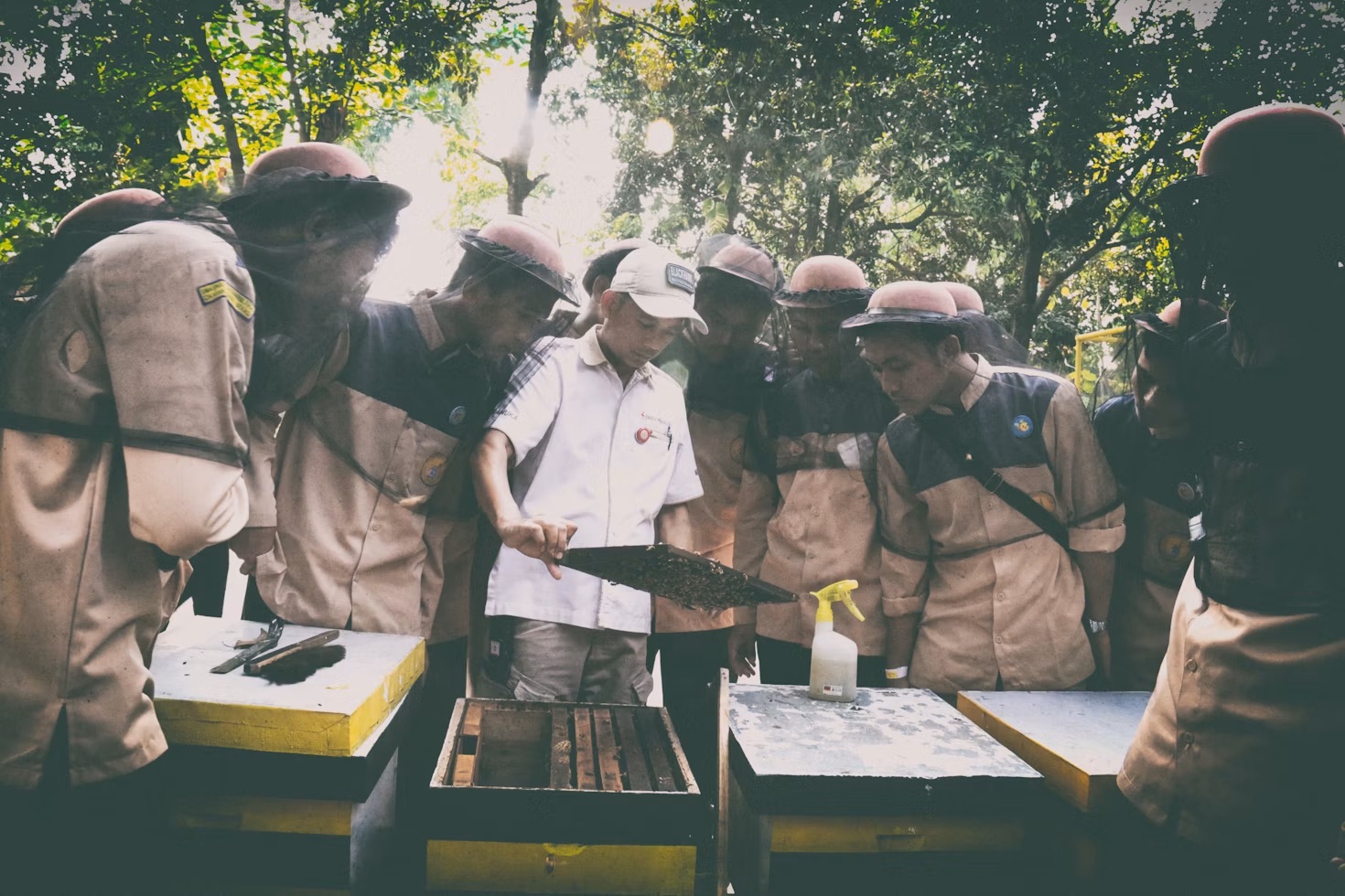Students participating in a hands-on outdoor project